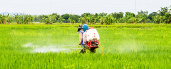 Pesticide intermediate